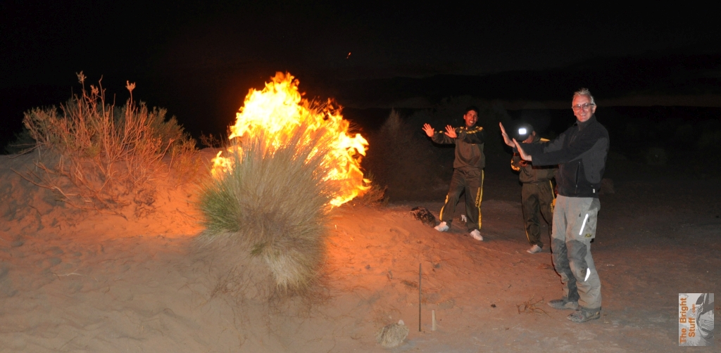 DSC_0171_warmingBush.JPG