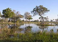 18 Okavango view.jpg