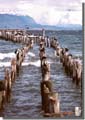 565_Former_jetty_Pto_Natales_Chile