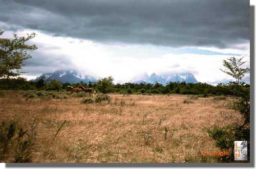 787_Torres_del_Paine_Patagonia.jpg