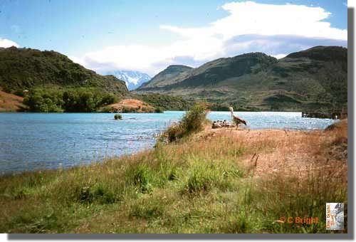 790_Torres_del_Paine_Patagonia.jpg