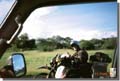 226_Easy_Rider_from_Robs_car_Botswana