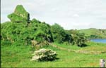 05_Ireland_countryside