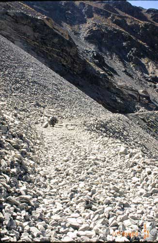 i095_Landslide