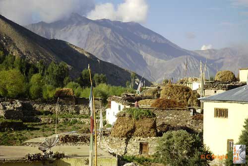 i102_Drying_hay_for_winter