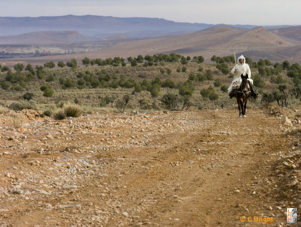 Moroc03_Man_on_donkey_in_djellaba.jpg