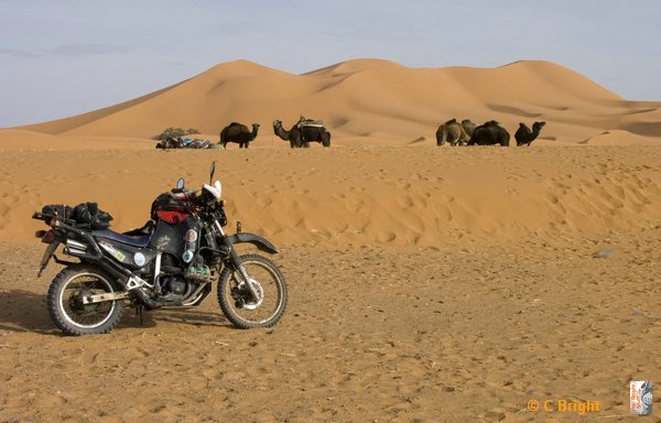 Moroc07_meeting_the_locals.jpg