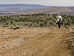 Moroc03_Man_on_donkey_in_djellaba.jpg