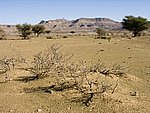 Moroc13_Chris_Scotts_M4.jpg