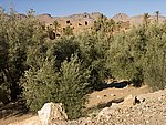 Moroc15_En_route_to_Todra_Gorge.jpg
