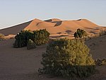 Moroc63_Moody_dunes.jpg