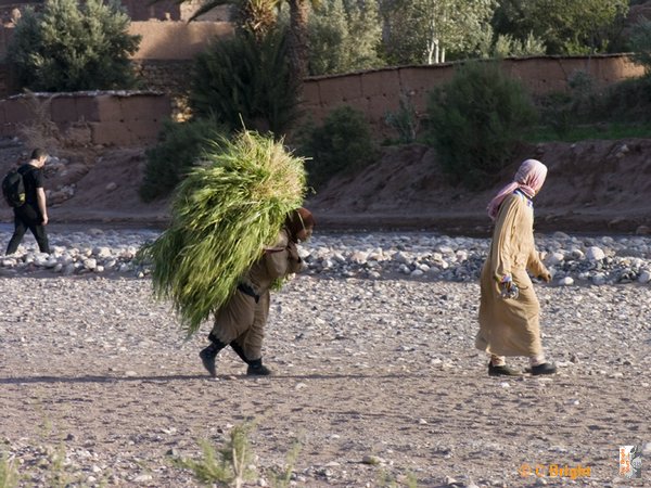 Morocco_Easter_2007_30.jpg