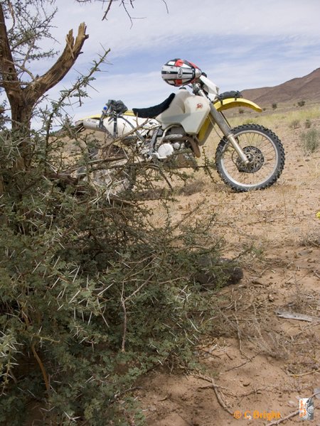 Morocco_Easter_2007_61.jpg