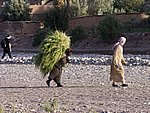 Morocco_Easter_2007_30.jpg