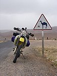 Morocco_Easter_2007_41.jpg