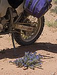 Morocco_Easter_2007_58.jpg
