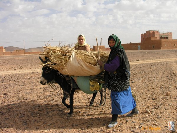 Morocco_Xmas_2007_27.JPG