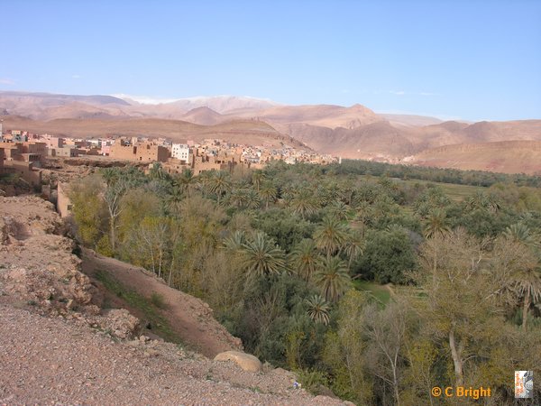 Morocco_Xmas_2007_29.JPG