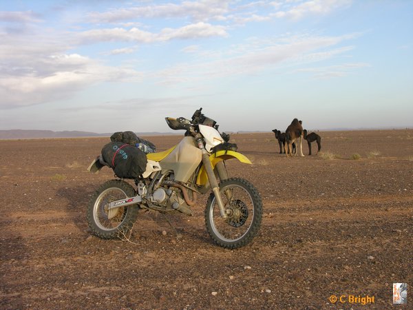 Morocco_Xmas_2007_36.JPG