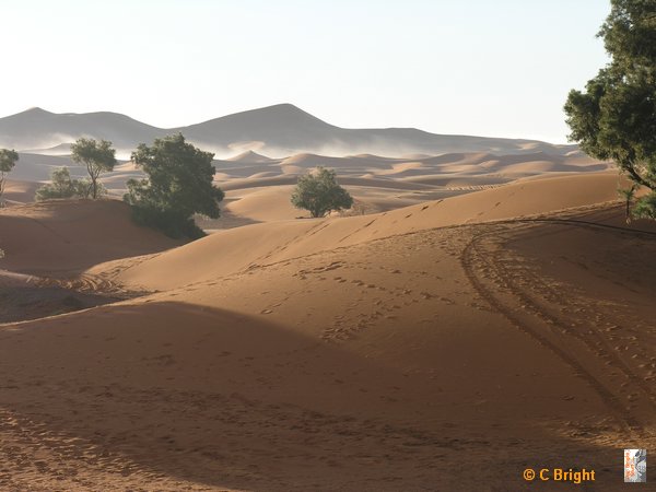 Morocco_Xmas_2007_48.JPG