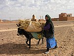 Morocco_Xmas_2007_27.JPG