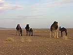 Morocco_Xmas_2007_38.JPG