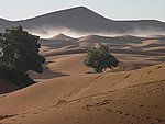 Morocco_Xmas_2007_51.JPG