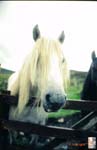 31_UK_Scotland
