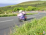 Gooseneck_04.JPG