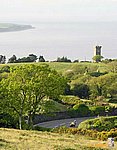 Gooseneck_11.jpg