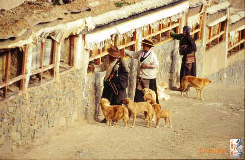 068_Prayer_wheel_and_dogs