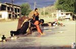 024_Devotees_remonstrating