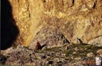 034_Nun_meditating_Nam_Tso
