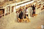 068_Prayer_wheel_and_dogs