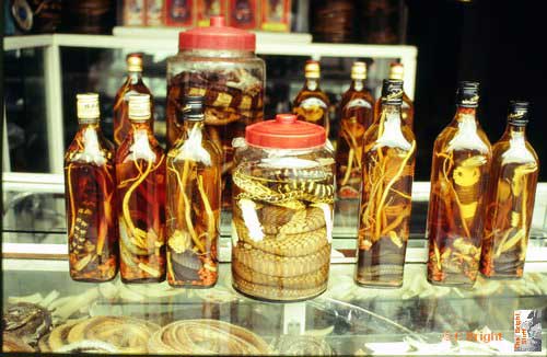 41_Vietnam_potions_in_bottles