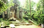 09_Cambodia_Angkor_Wat_Ta_Prohm