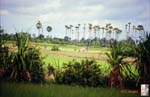 12_Cambodia_landscape