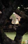 23_Vietnam_Buddhist_statues