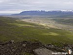 Iceland_2007_17.jpg