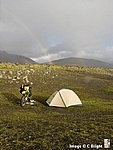 Iceland_2007_42.jpg