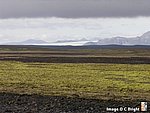 Iceland_2007_59.jpg