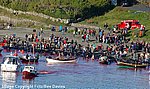 Iceland_2007_98.jpg