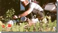 281_Free_camping_in_the_sun_Canada