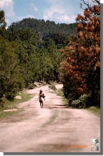 363_Walking_into_Copper_Canyon