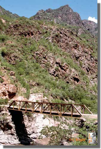 364_Copper_Canyon_Mex