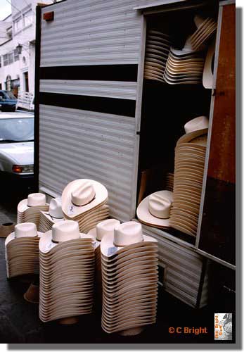 367_One_size_fits_all_Mex