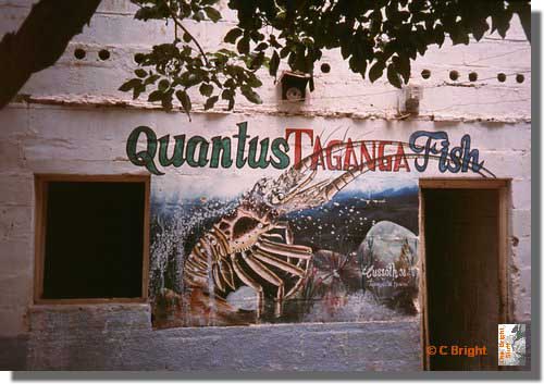 452_Santa_Marta_Colombia