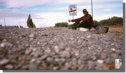 554_Scottish_Hitchhiker