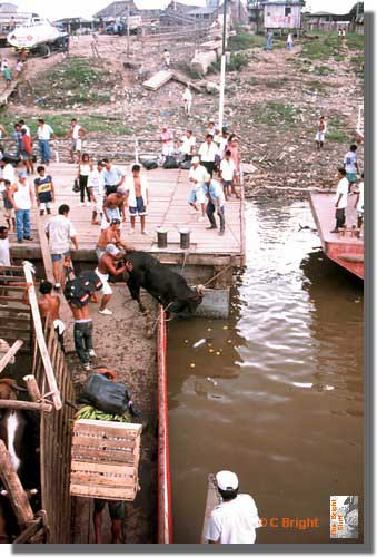 707_Passengers_allighting_Iquitos