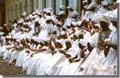 739_Celebration_Salvador_de_Bahia